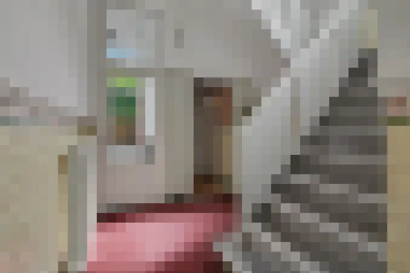 Meelstraat 20 Zierikzee thumbnail 17
