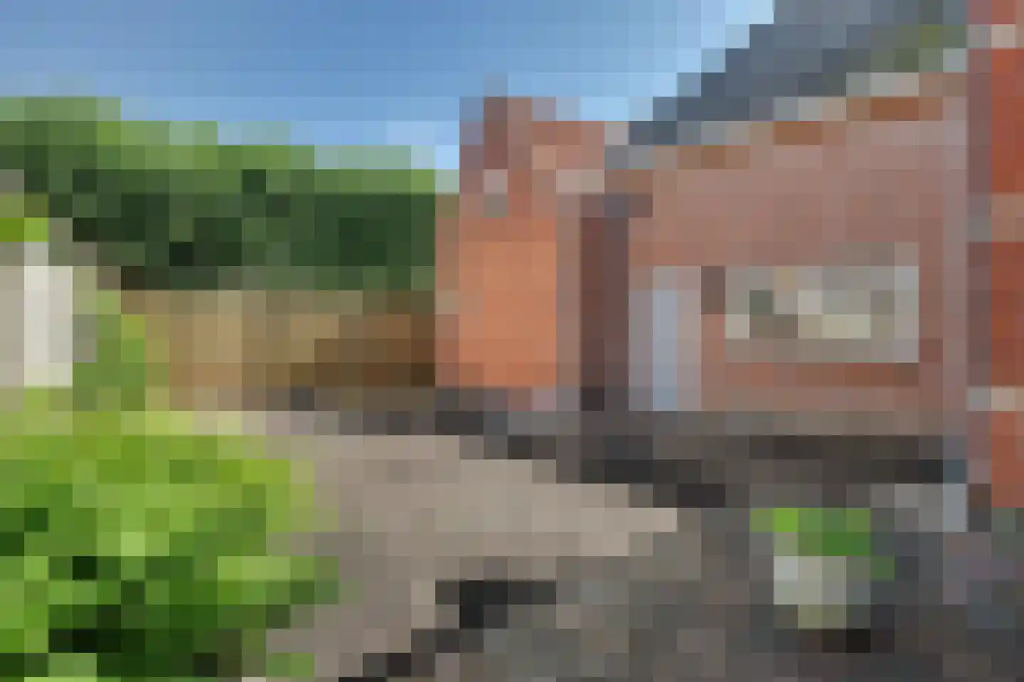 Meelstraat 20 Zierikzee thumbnail 45
