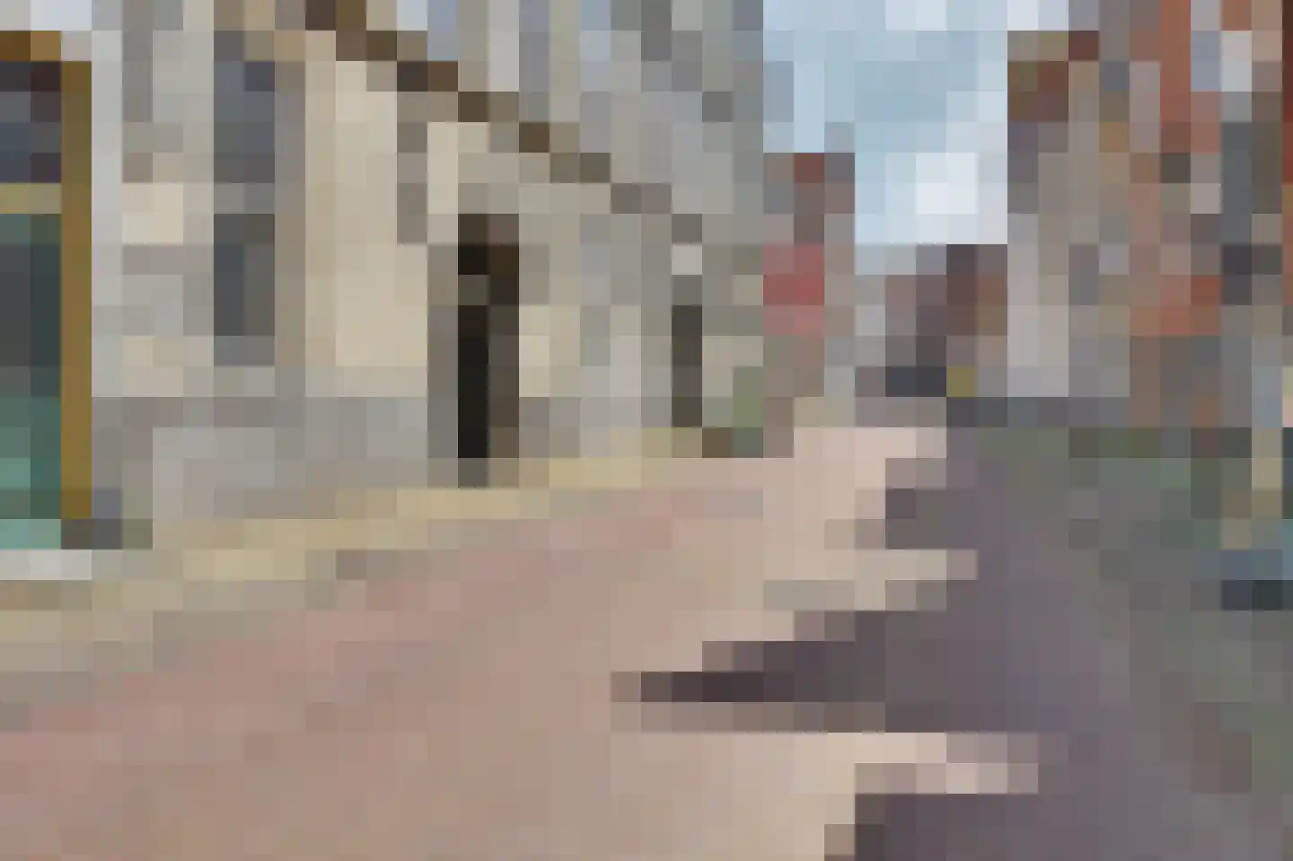 Meelstraat 20 Zierikzee thumbnail 50