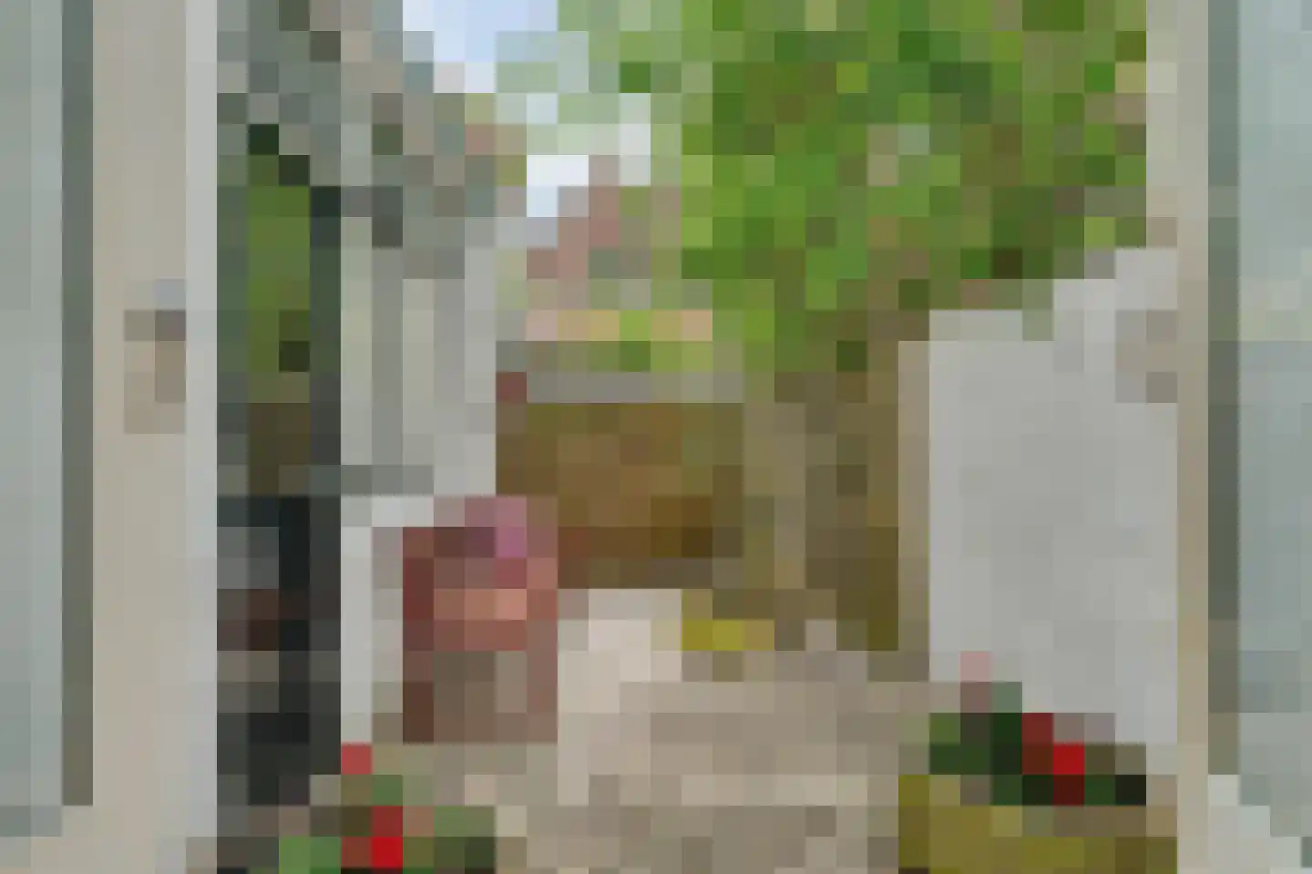 Meelstraat 25 Zierikzee thumbnail 24
