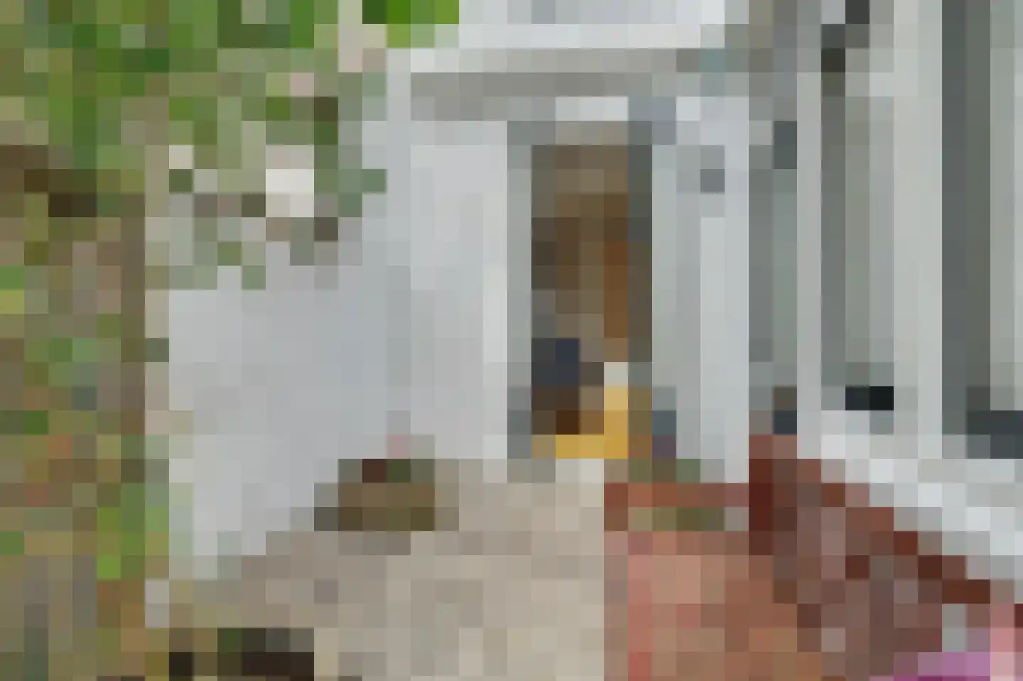 Meelstraat 25 Zierikzee thumbnail 8