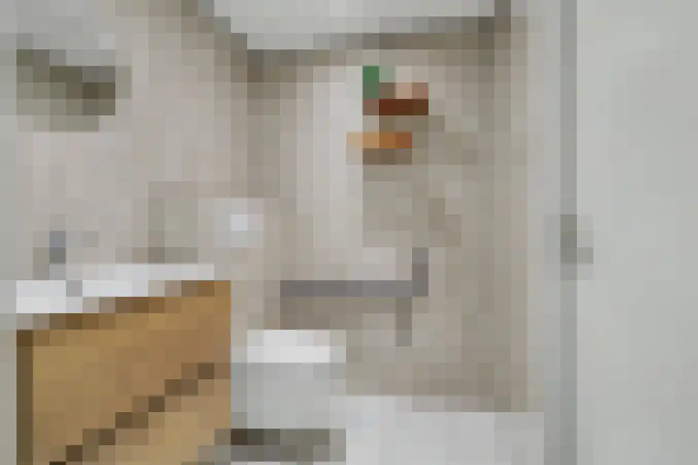 Meelstraat 39 b Tilburg thumbnail 5