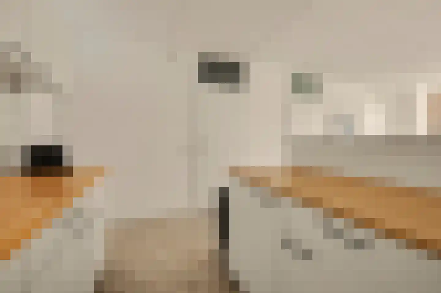 Meelstraat 39 Tilburg thumbnail 14