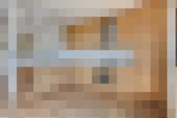Meelstraat 51 Tilburg thumbnail 10