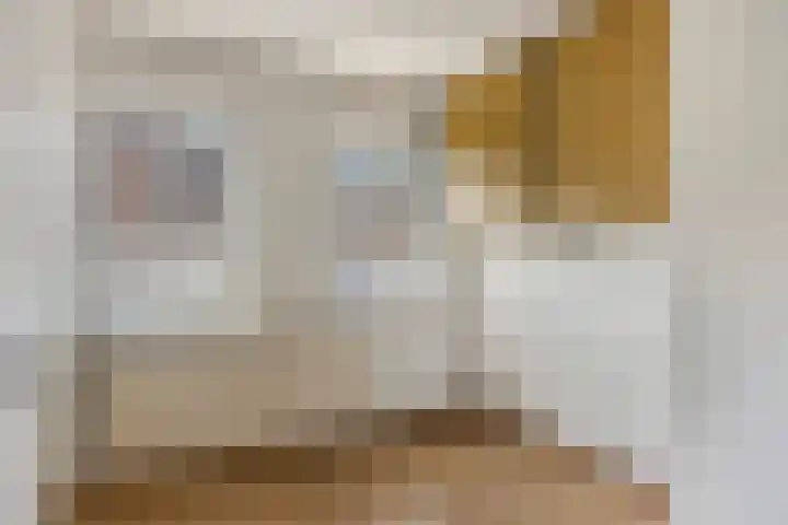 Meelstraat 51 Tilburg thumbnail 15
