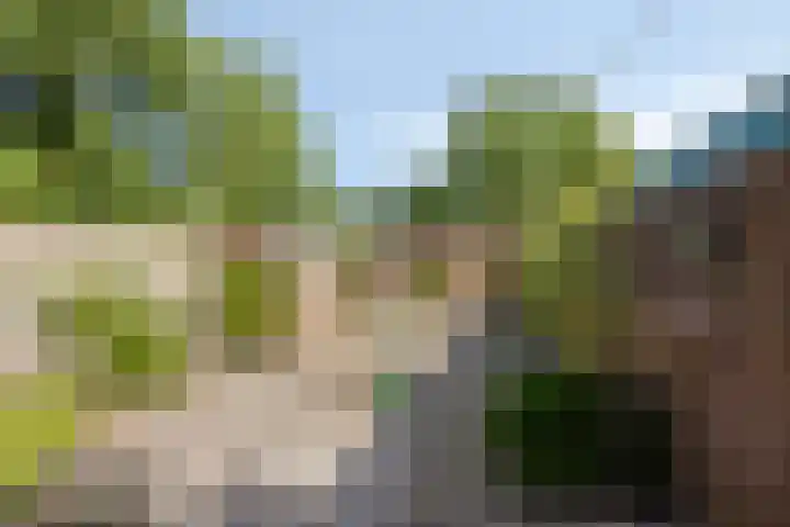 Meelstraat 51 Tilburg thumbnail 20
