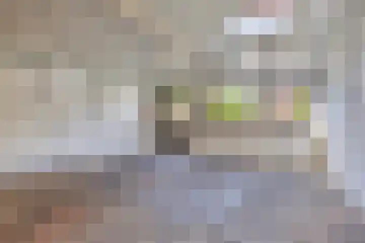 Meelstraat 51 Tilburg thumbnail 6