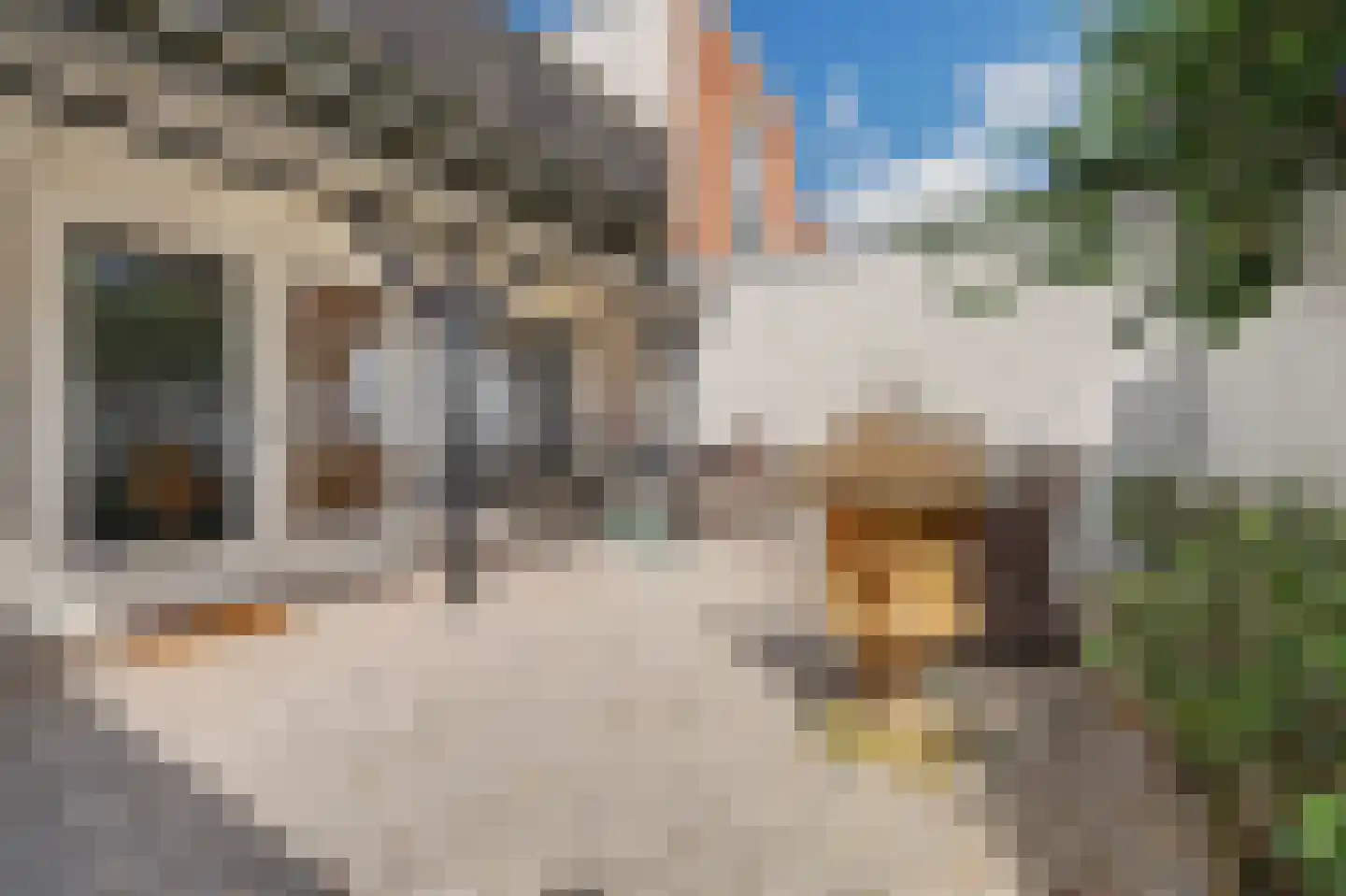Meelstraat 51 Zierikzee thumbnail 13