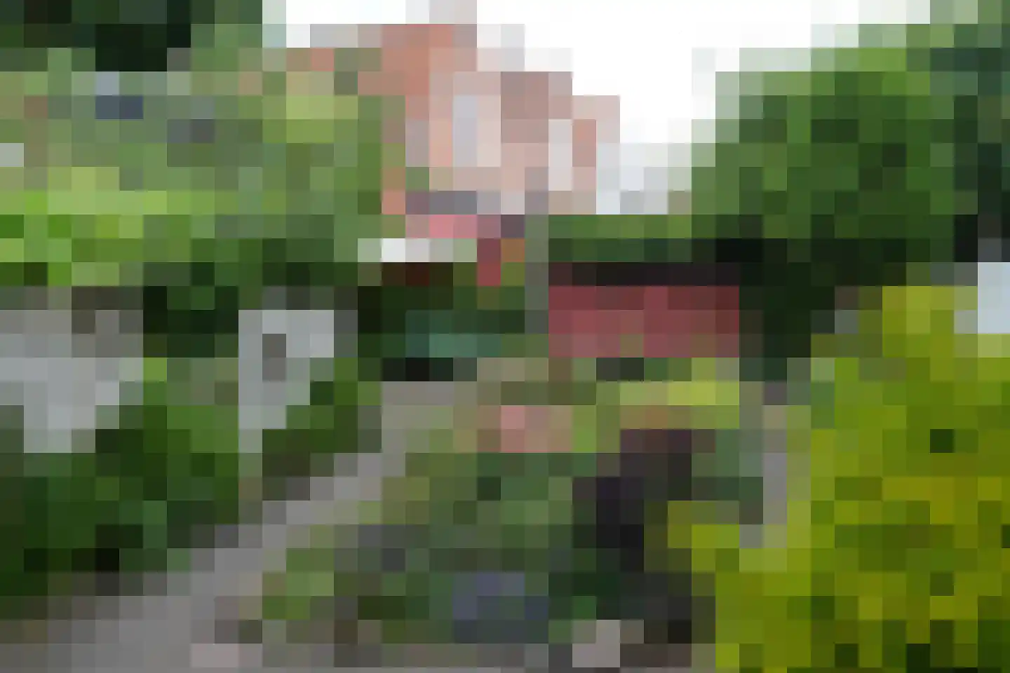 Meelstraat 54 Zierikzee thumbnail 28