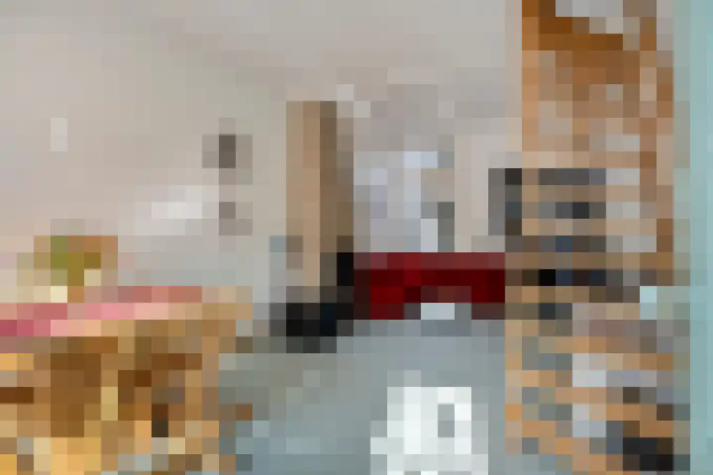 Meelstraat 54 Zierikzee thumbnail 5