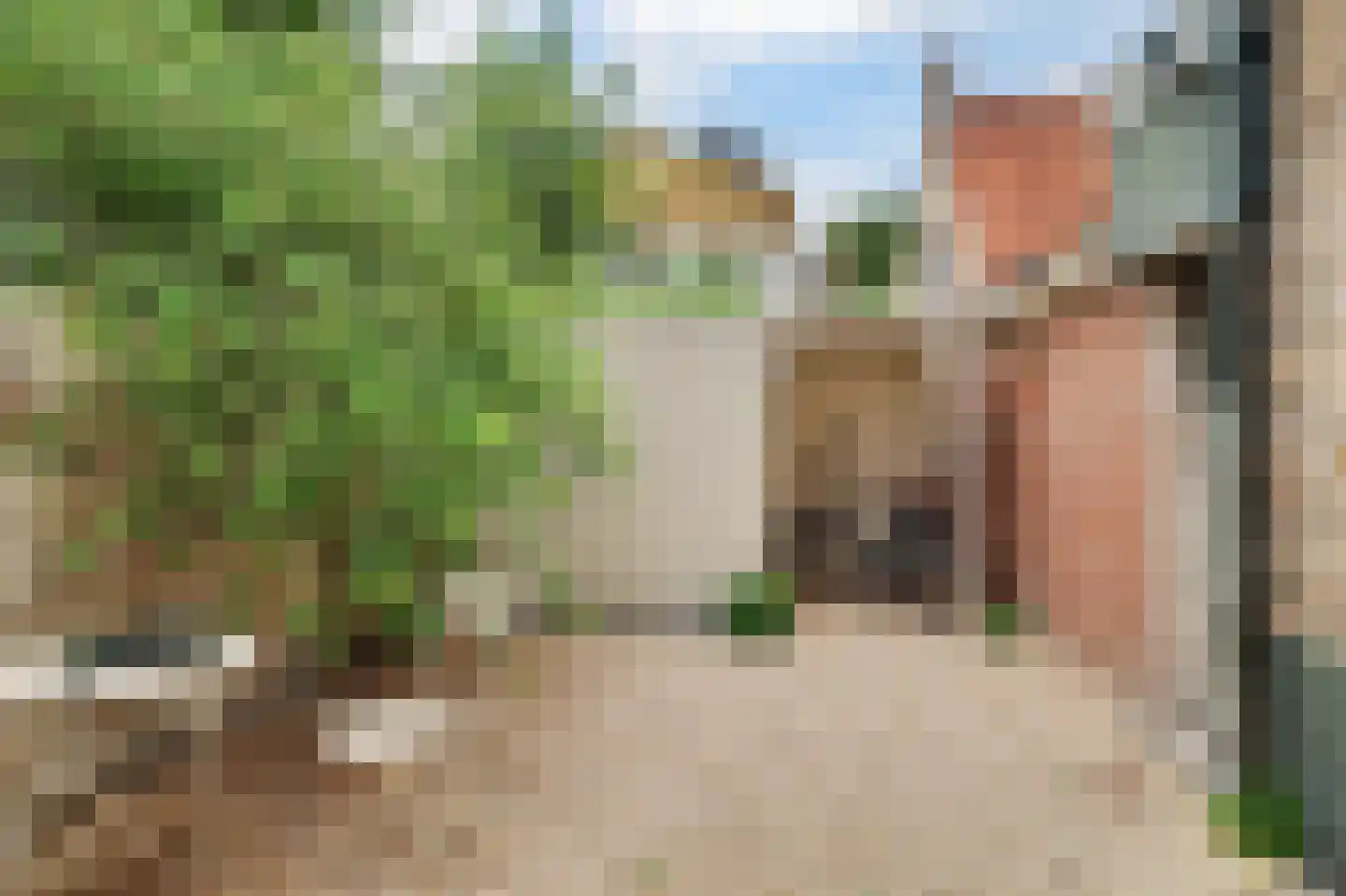 Meelstraat 55 Zierikzee thumbnail 36