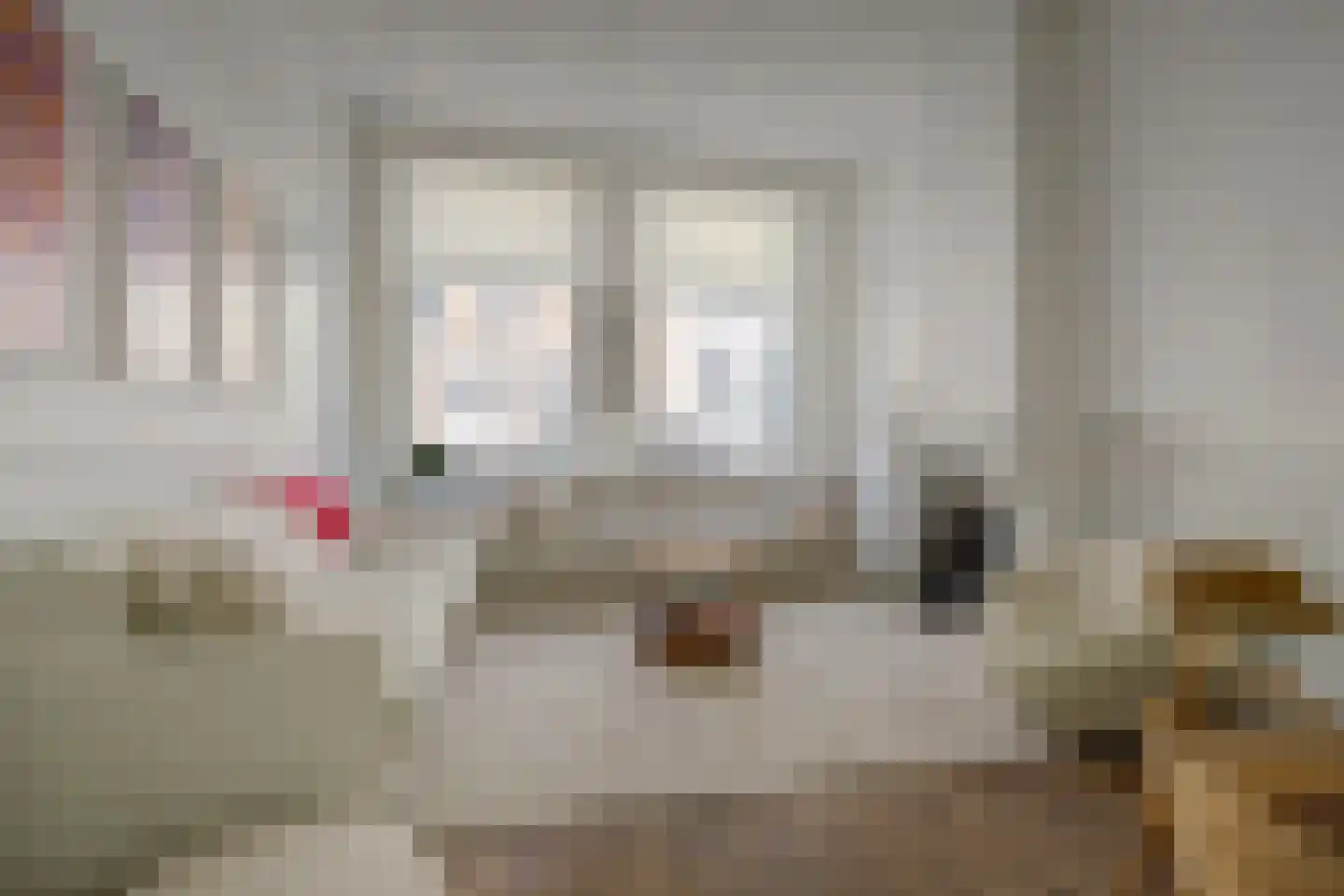 Meelstraat 55 Zierikzee thumbnail 8