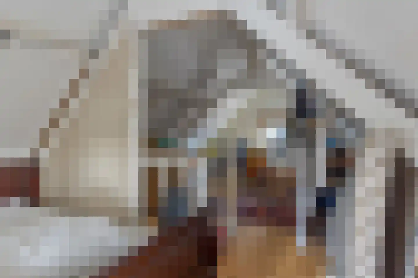 Meelstraat 74 Tilburg thumbnail 37