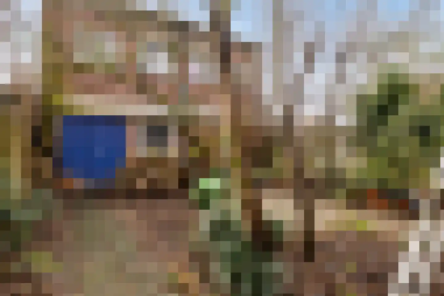 Meelstraat 74 Tilburg thumbnail 4