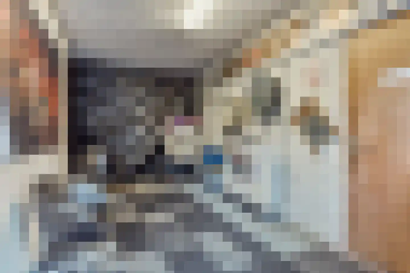 Meelstraat 74 Tilburg thumbnail 42