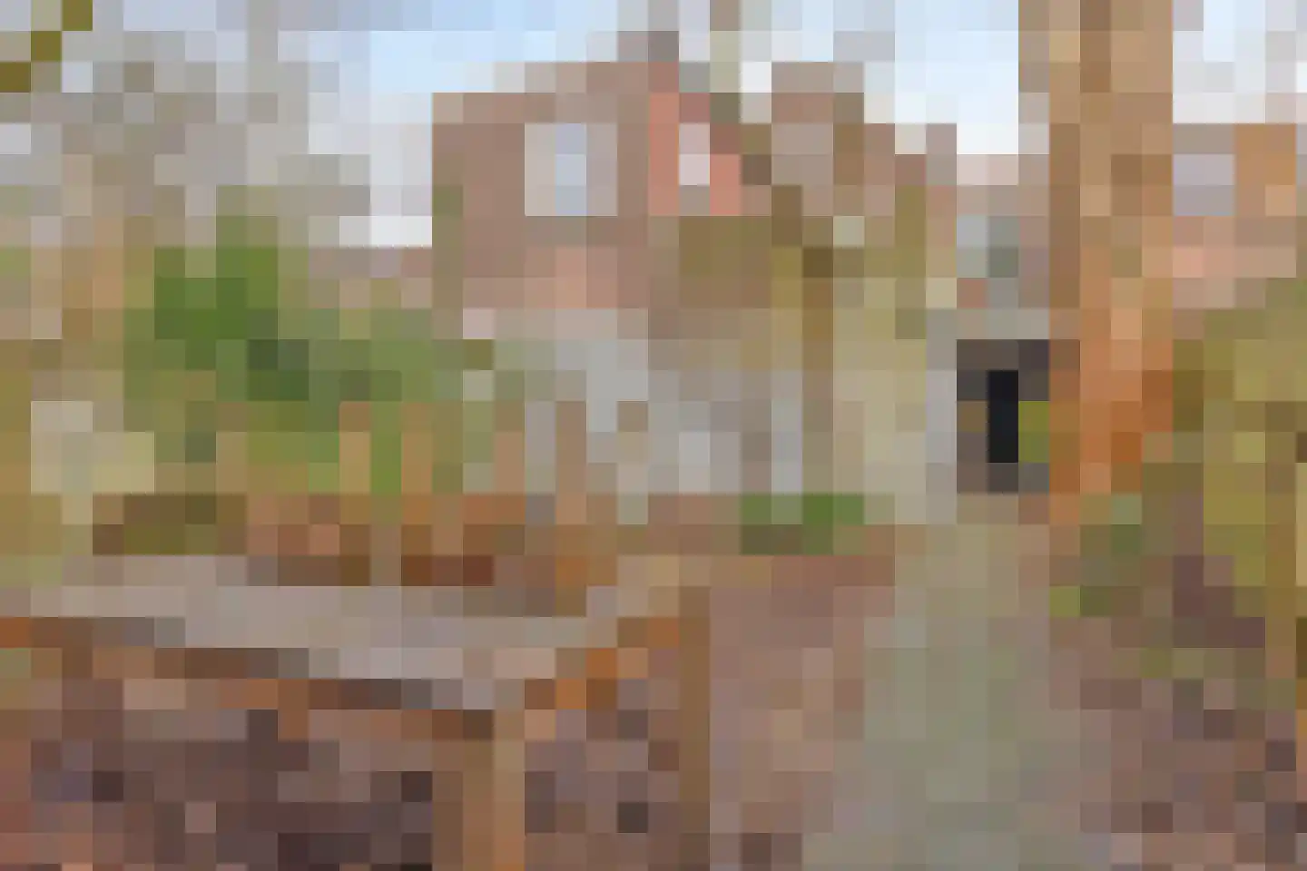 Meelstraat 74 Tilburg thumbnail 5