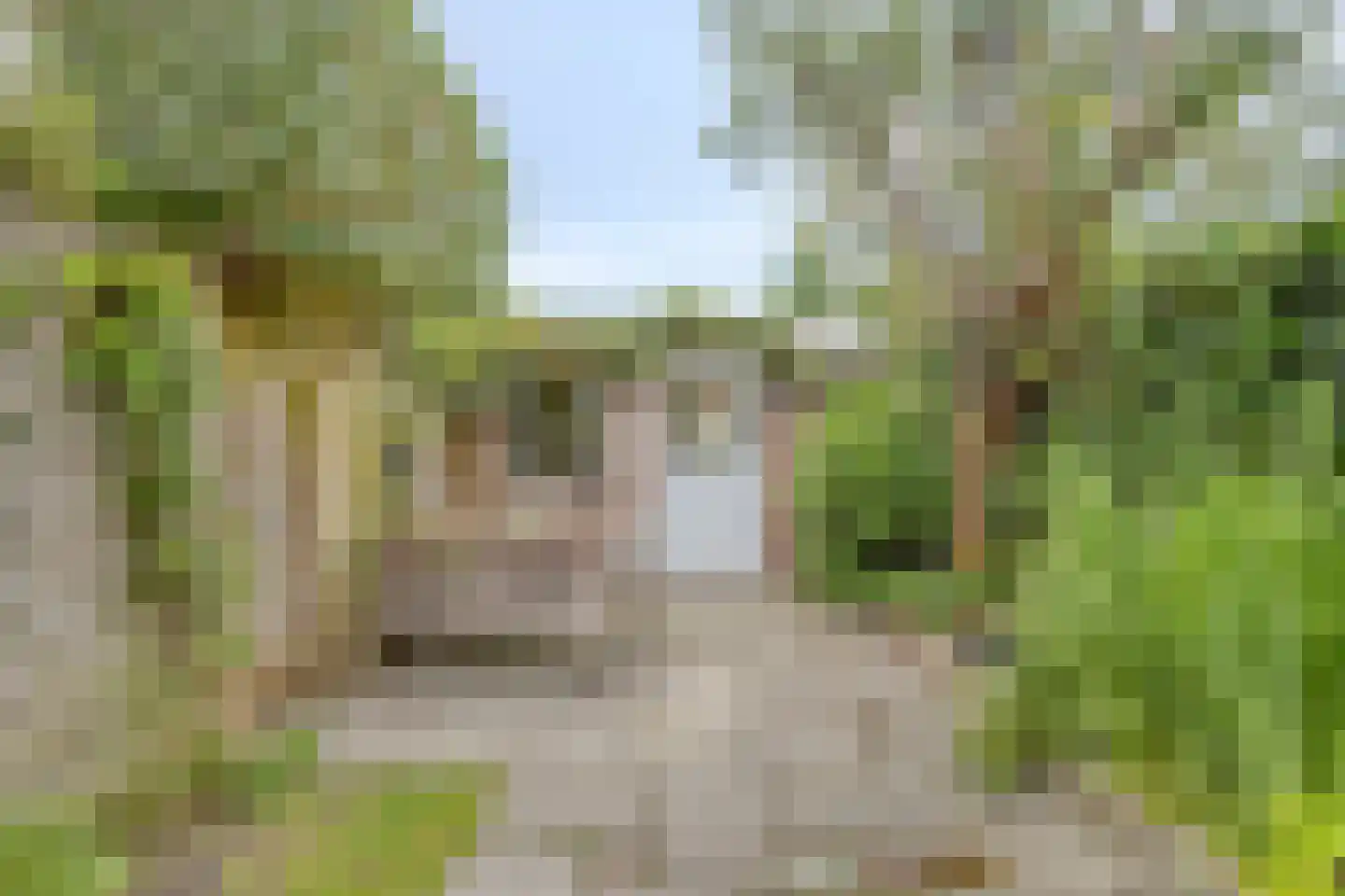 Meelstraat 81 Tilburg thumbnail 23