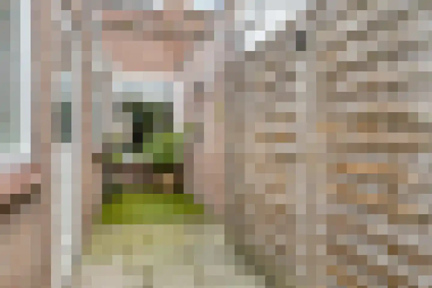 Meelstraat 81 Tilburg thumbnail 24