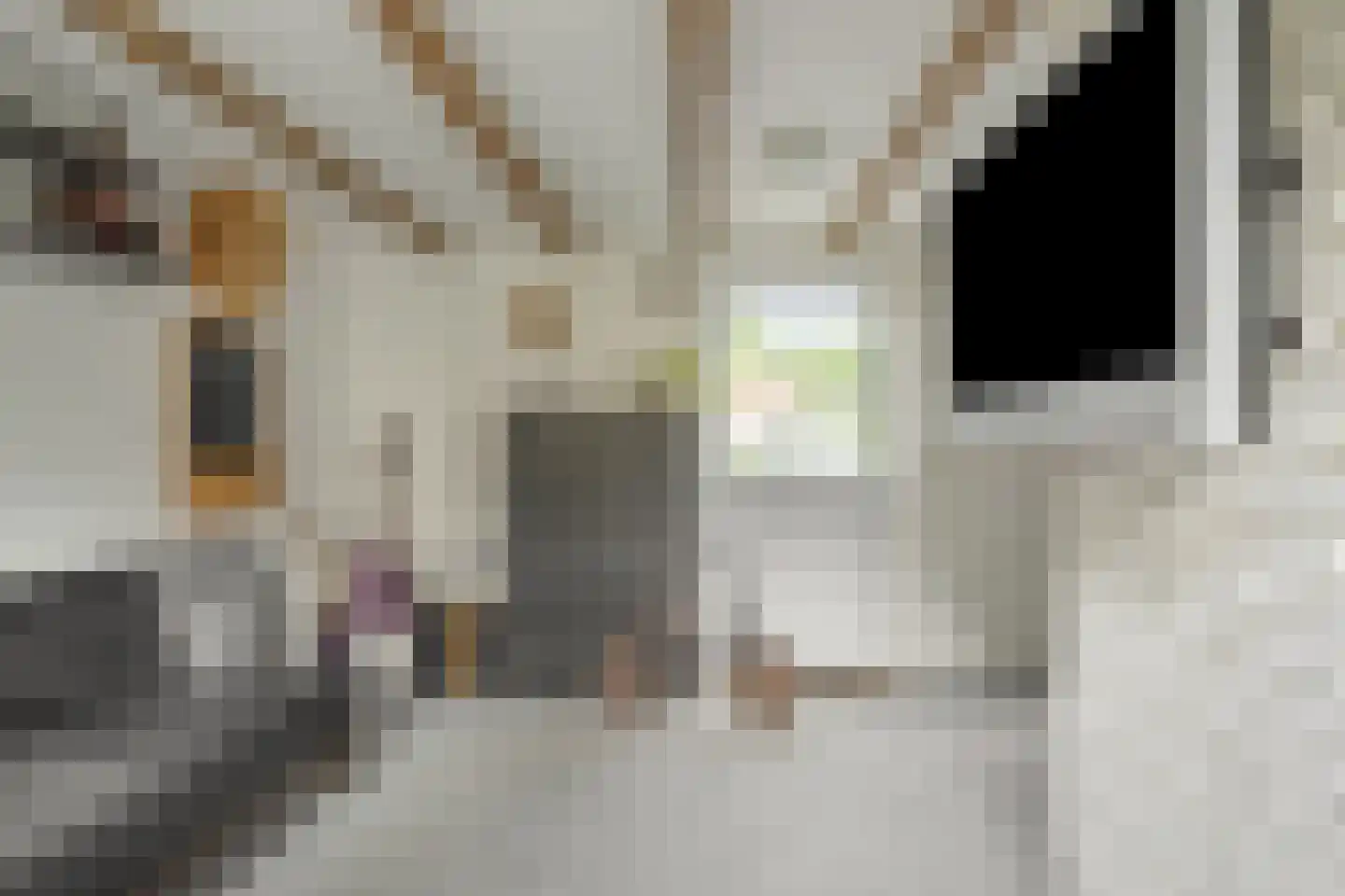 Meelstraat 81 Tilburg thumbnail 25