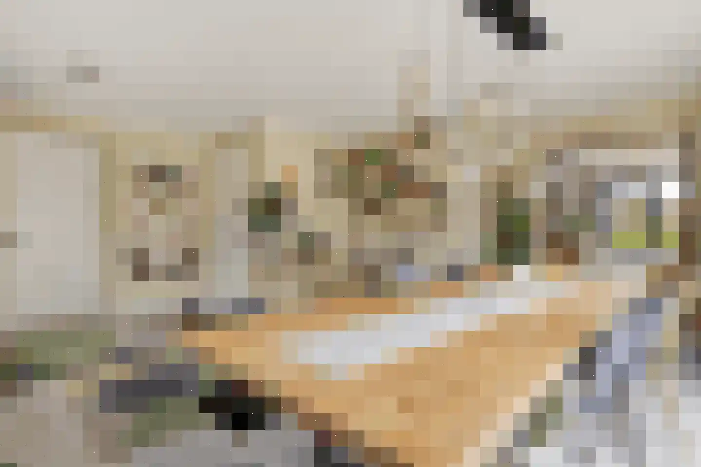 Meelzolder 41 Nunspeet thumbnail 20
