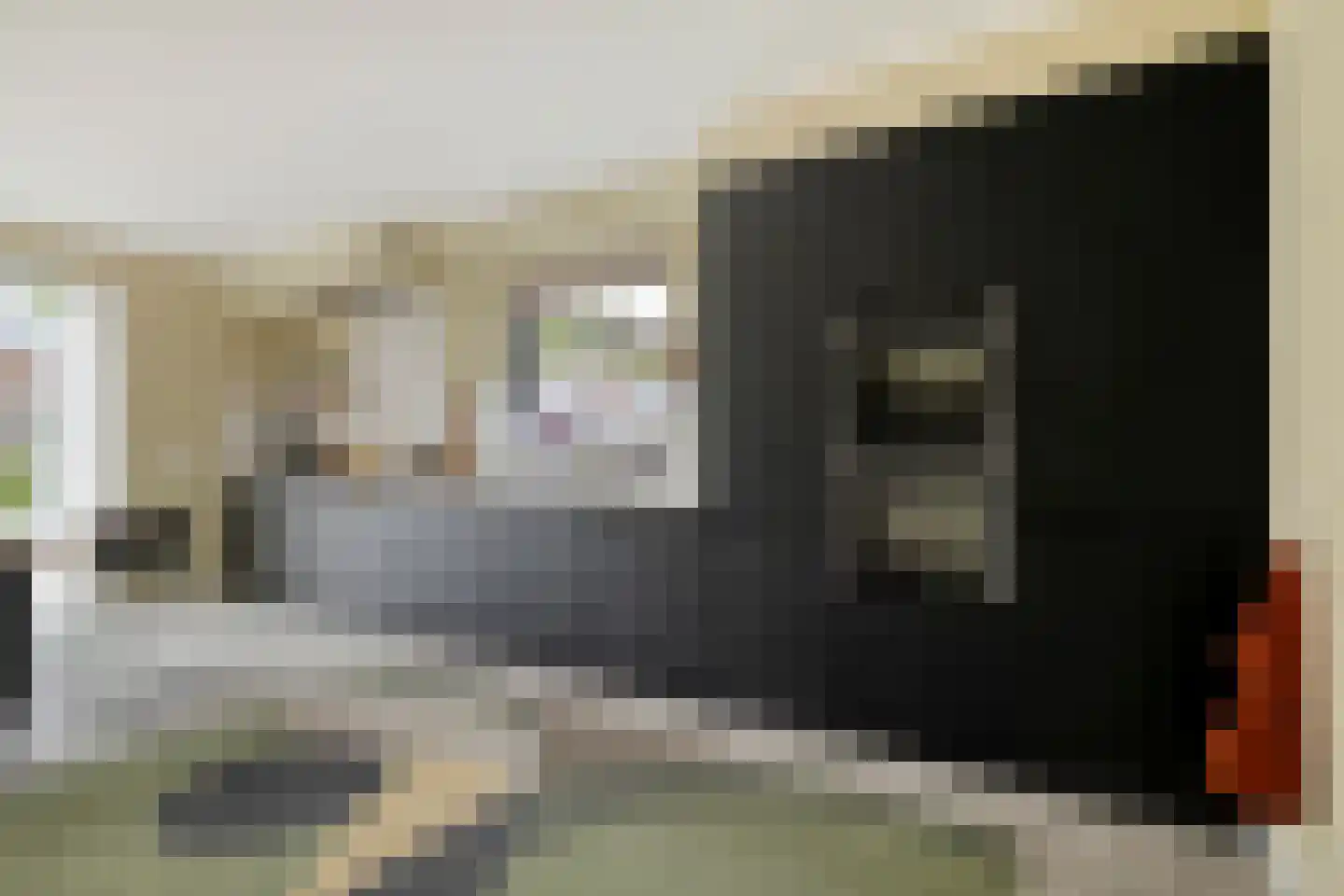 Meelzolder 41 Nunspeet thumbnail 22