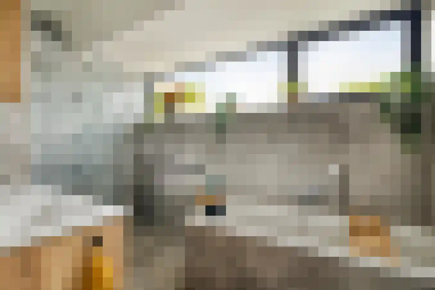 Meelzolder 41 Nunspeet thumbnail 40