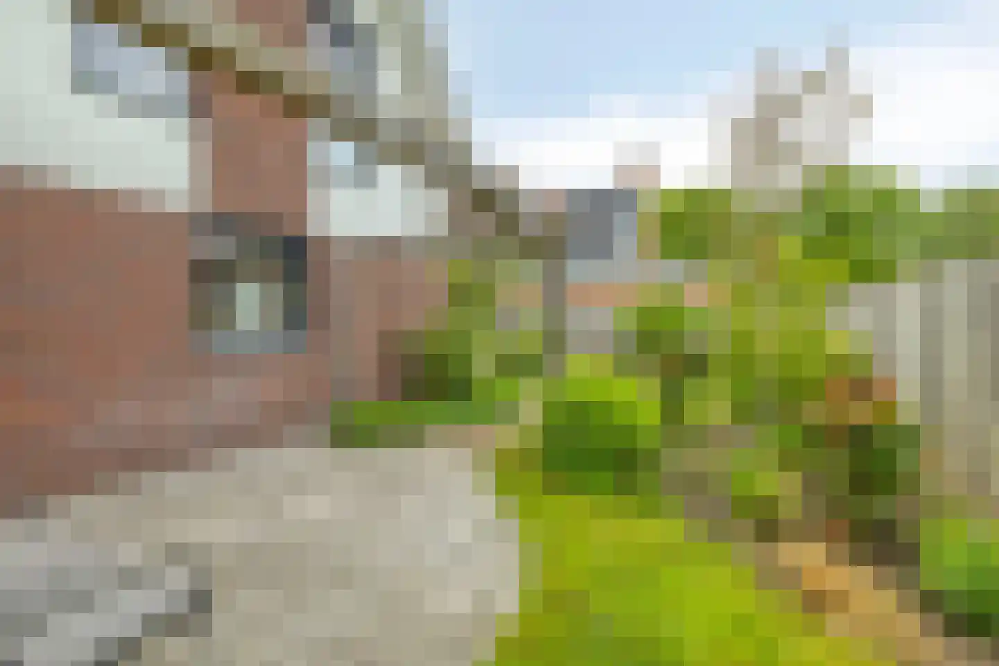 Meelzolder 41 Nunspeet thumbnail 44