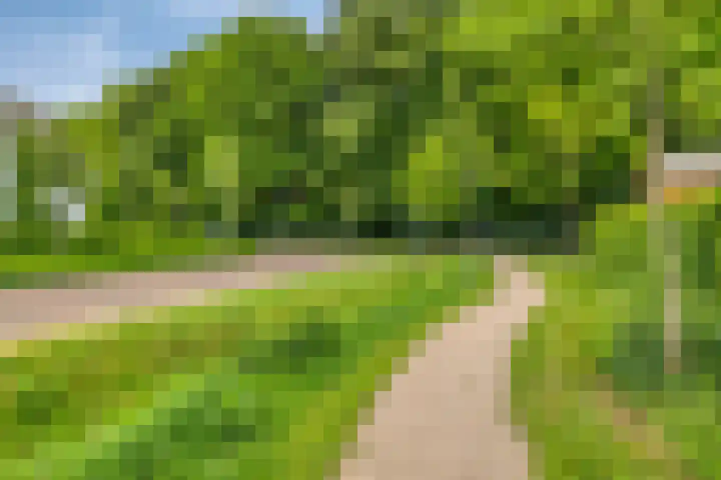 Meelzolder 41 Nunspeet thumbnail 50