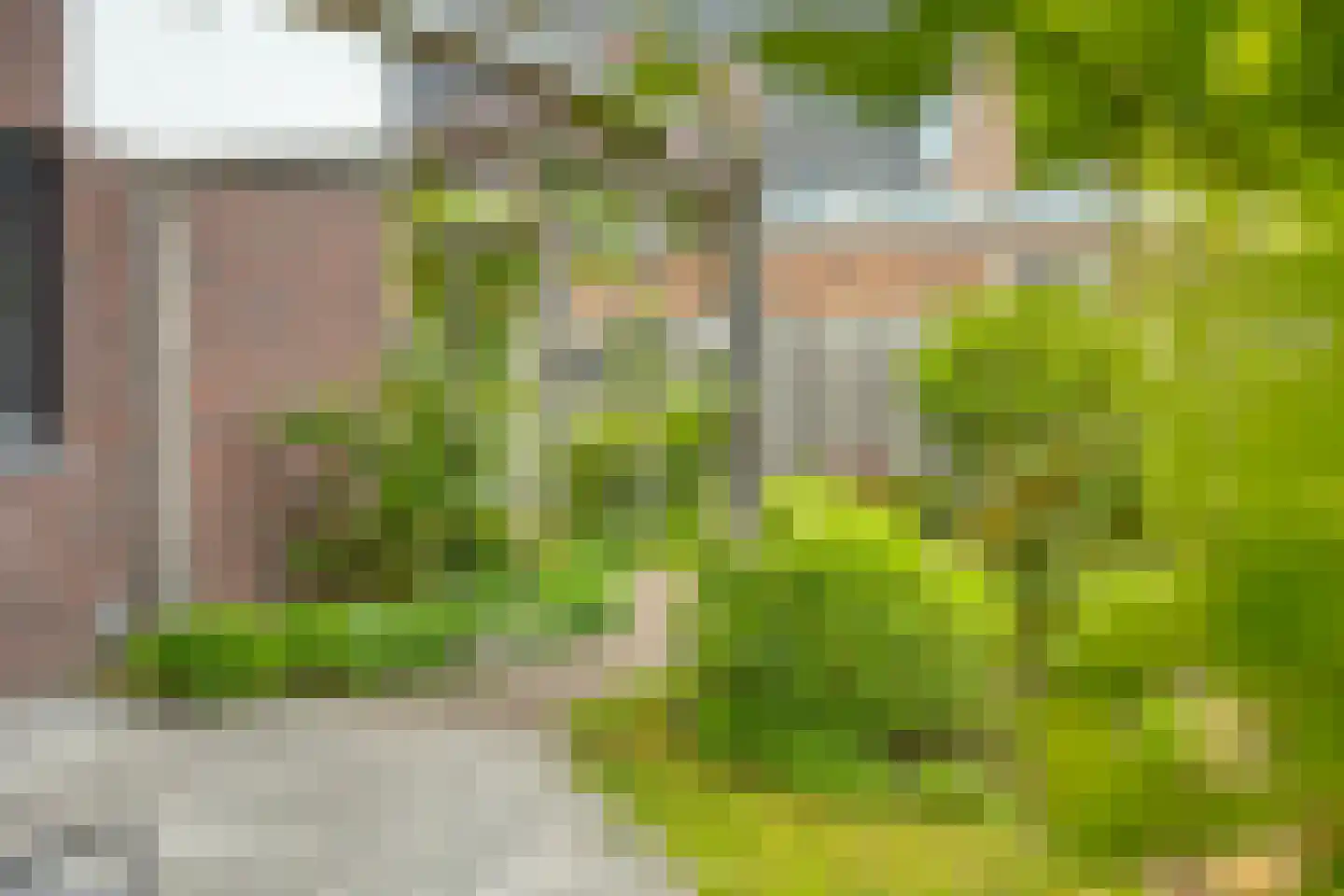Meelzolder 41 Nunspeet thumbnail 7