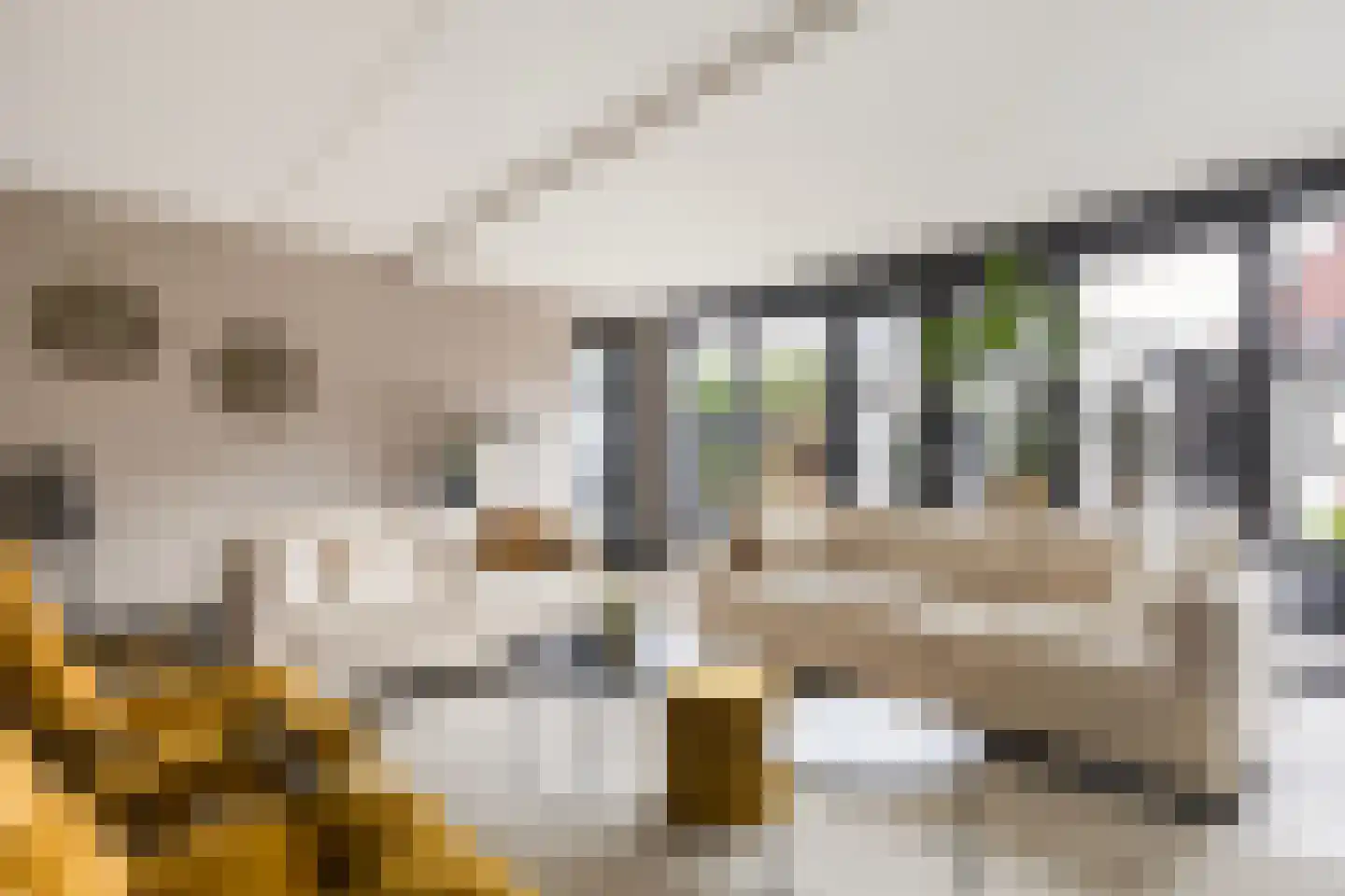 Meelzolder 8 Nunspeet thumbnail 11