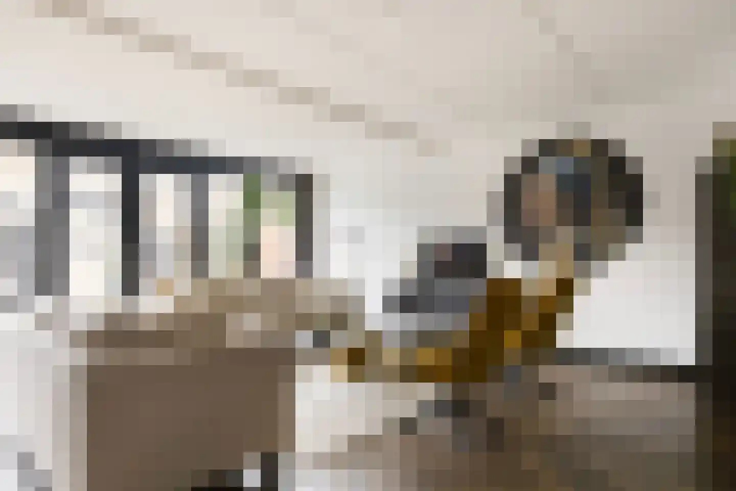 Meelzolder 8 Nunspeet thumbnail 12