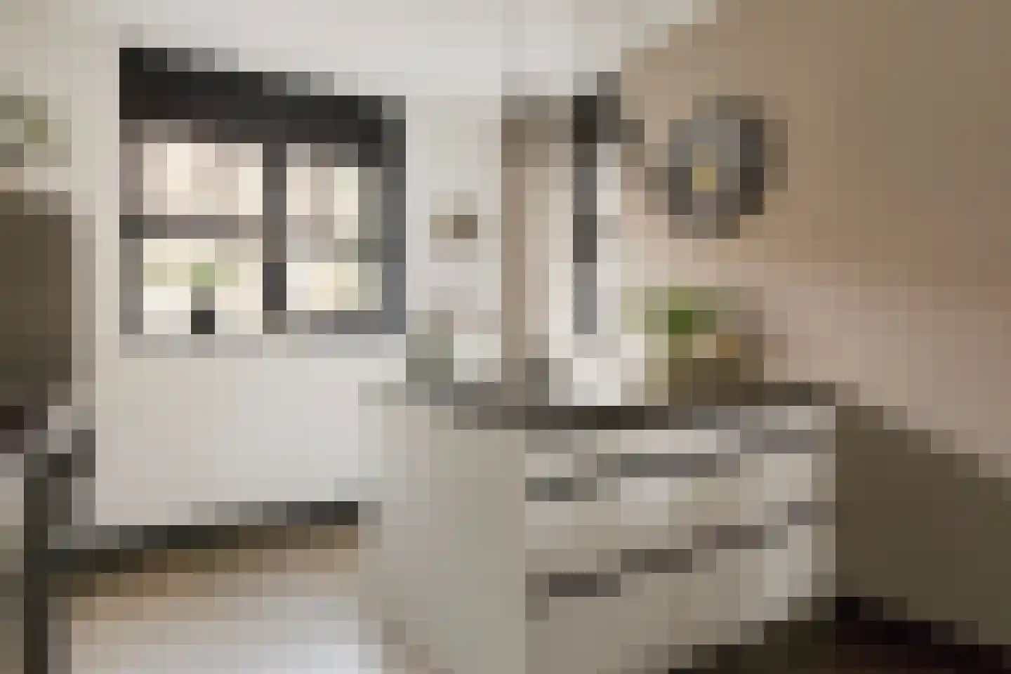 Meelzolder 8 Nunspeet thumbnail 17