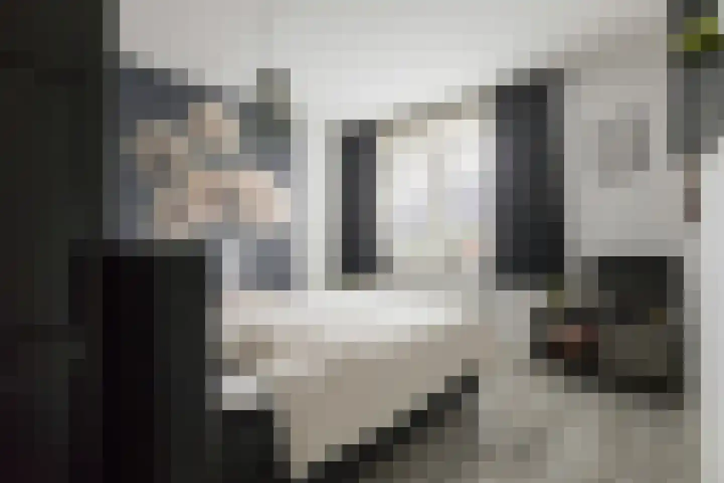 Meelzolder 8 Nunspeet thumbnail 23