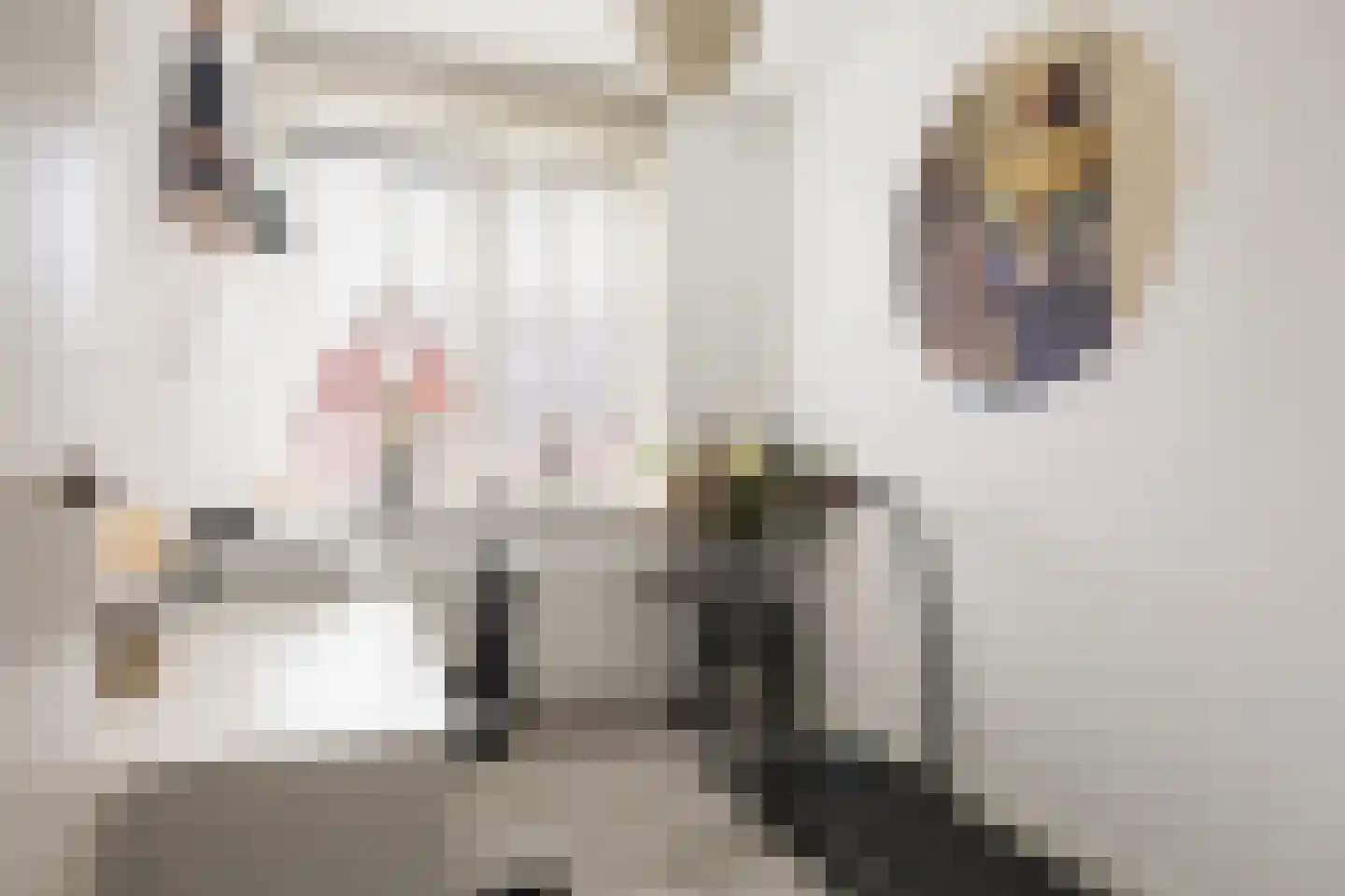 Meelzolder 8 Nunspeet thumbnail 25