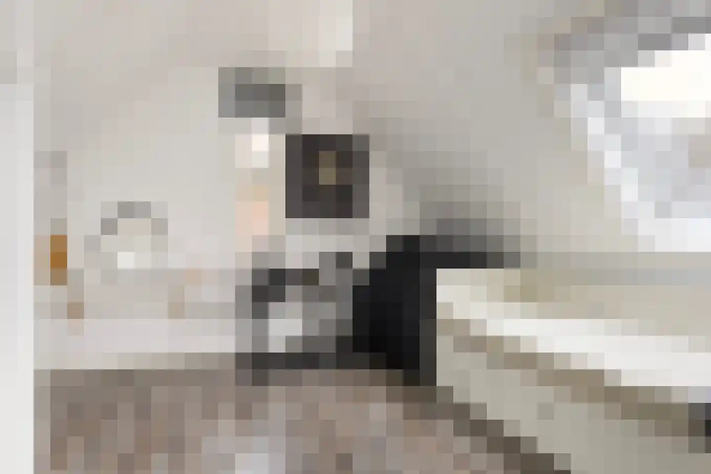 Meelzolder 8 Nunspeet thumbnail 32