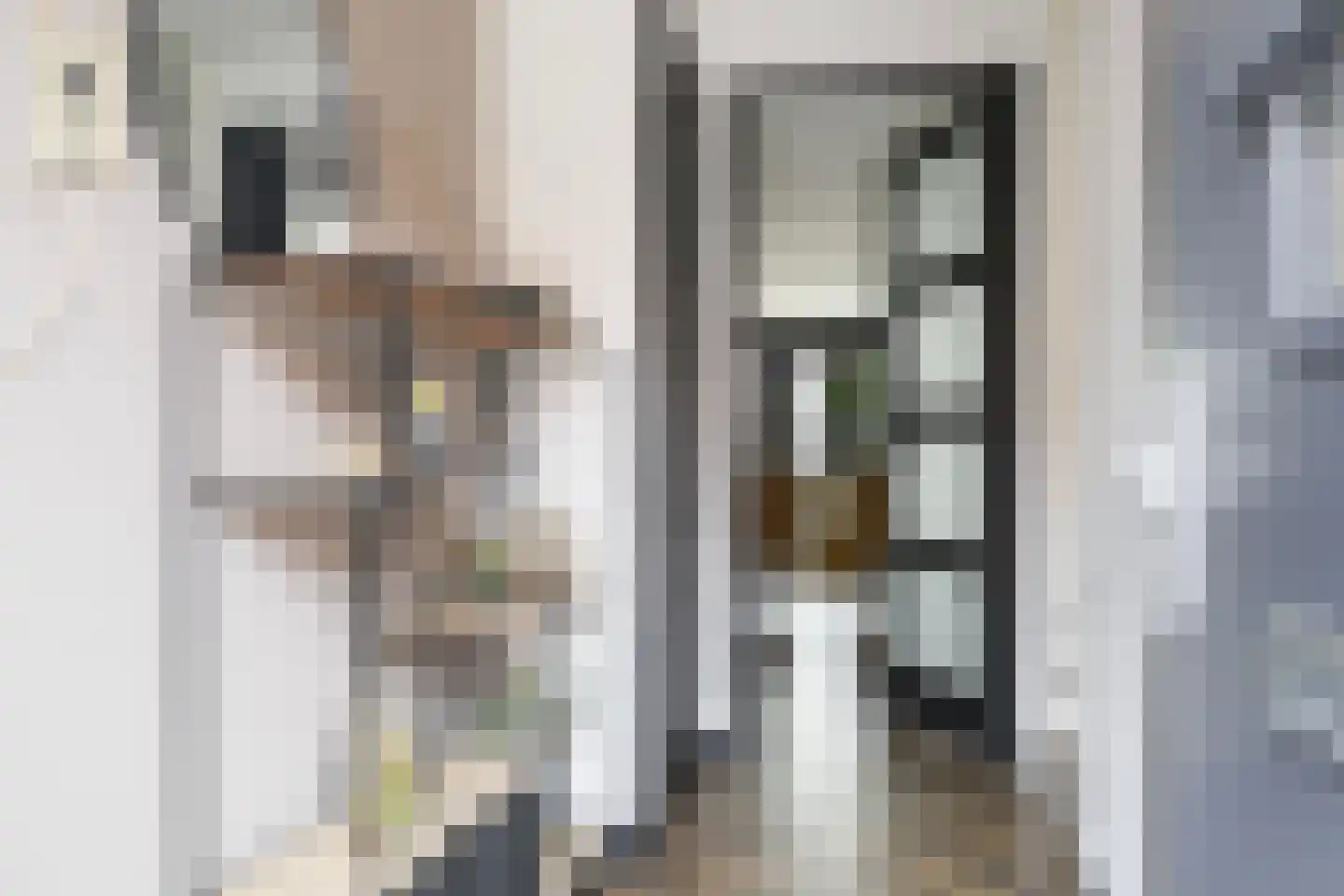 Meelzolder 8 Nunspeet thumbnail 8