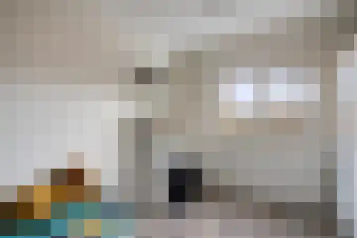 Meendaal 107 Maastricht thumbnail 17