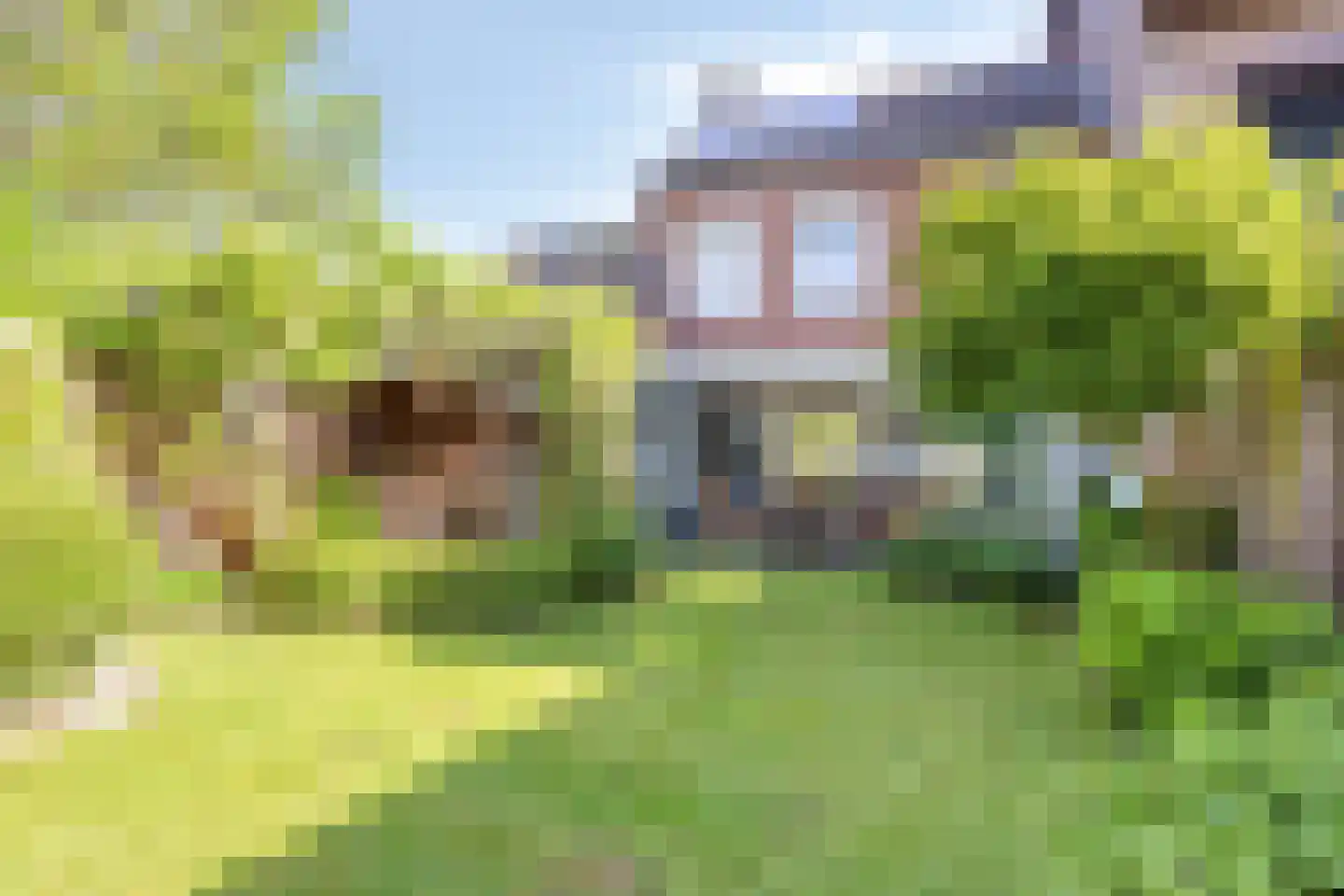 Meendaal 170 Maastricht thumbnail 38