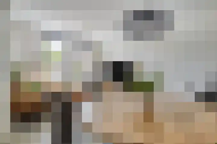 Meendaal 197 Maastricht thumbnail 5