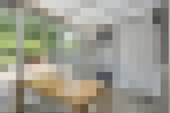 Meendaal 2 Maastricht thumbnail 15