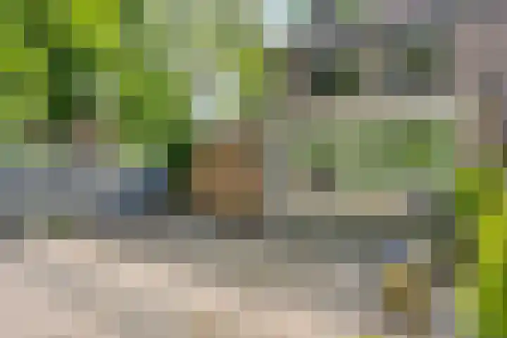 Meendaal 2 Maastricht thumbnail 28