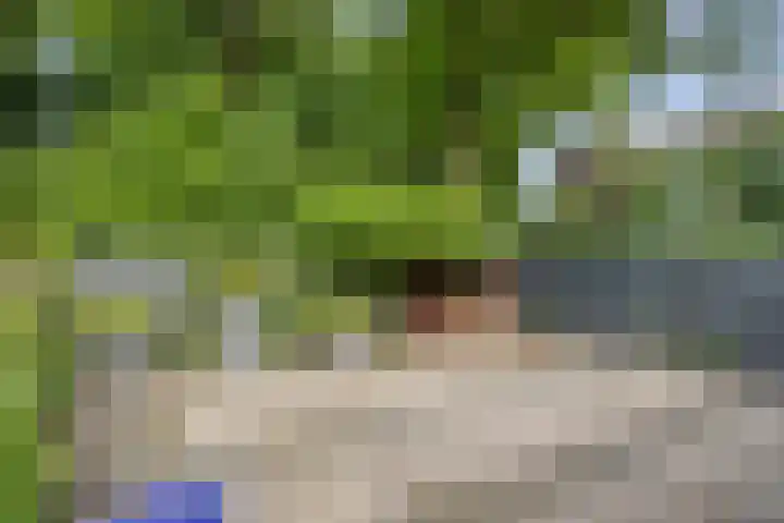 Meendaal 2 Maastricht thumbnail 29