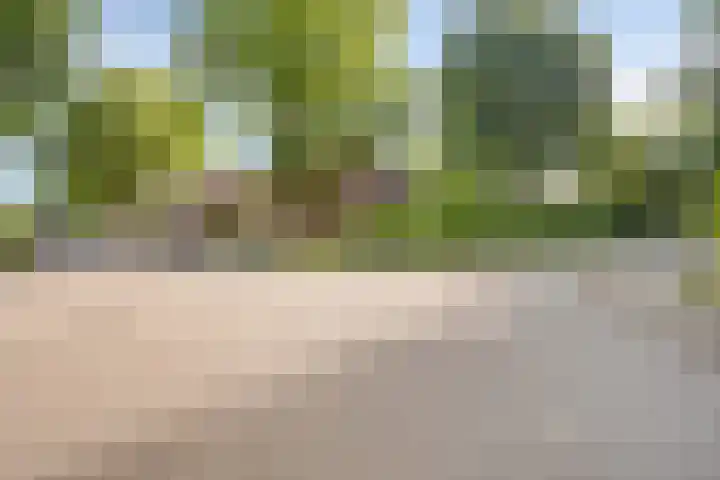 Meendaal 2 Maastricht thumbnail 31