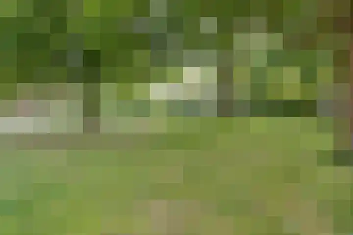 Meendaal 2 Maastricht thumbnail 33