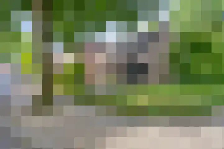 Meendaal 2 Maastricht thumbnail 37