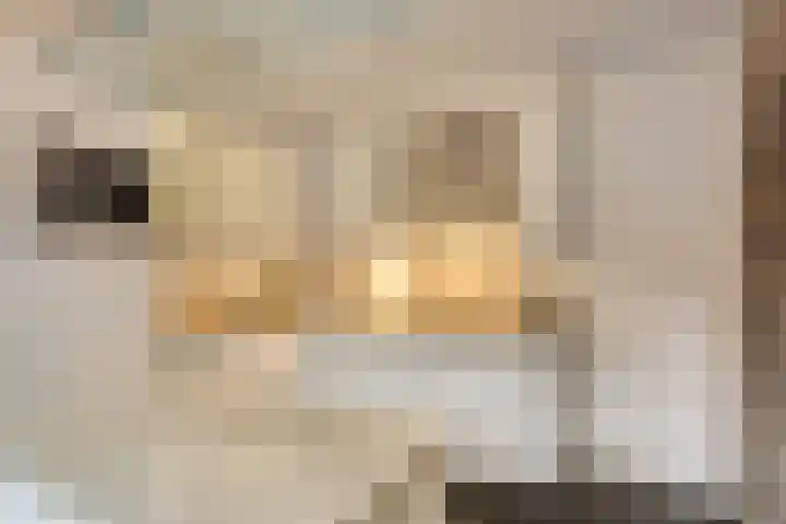 Meendaal 206 Maastricht thumbnail 21