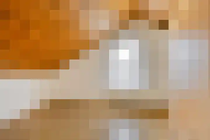 Meendaal 206 Maastricht thumbnail 36