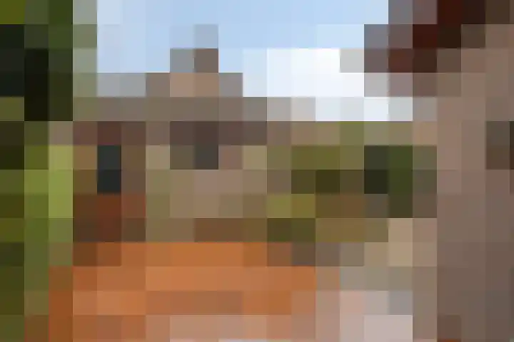 Meendaal 206 Maastricht thumbnail 41