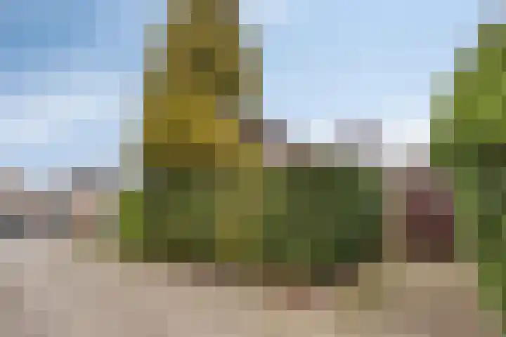 Meendaal 206 Maastricht thumbnail 6