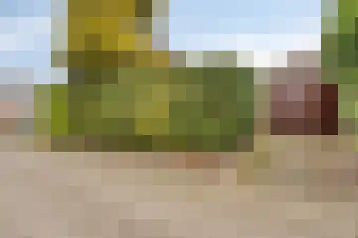 Meendaal 206 Maastricht thumbnail 7